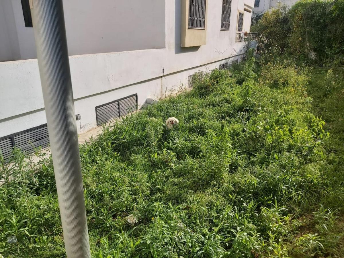 Ideal Appart Ain Zaghouan Tunis El Aouina 外观 照片